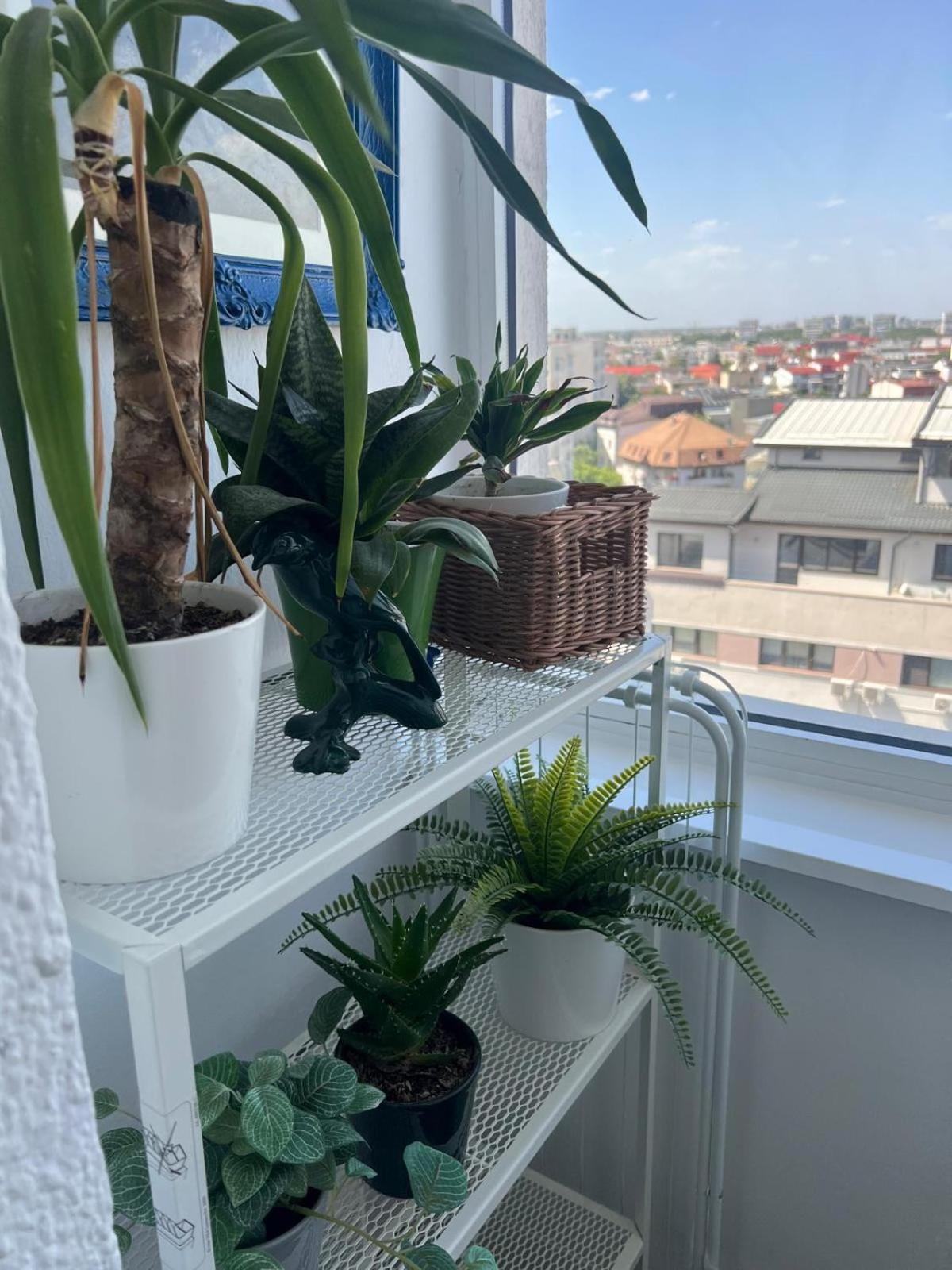 1Bdr Apartment Perla 225 Bukarest Eksteriør billede